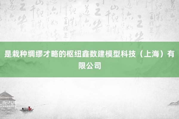 是栽种绸缪才略的枢纽鑫数建模型科技（上海）有限公司
