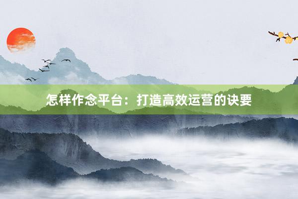 怎样作念平台：打造高效运营的诀要