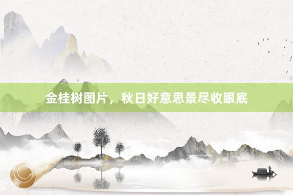 金桂树图片,秋日好意思景尽收眼底